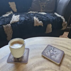 Onderzetters Wild zwijn (6st)