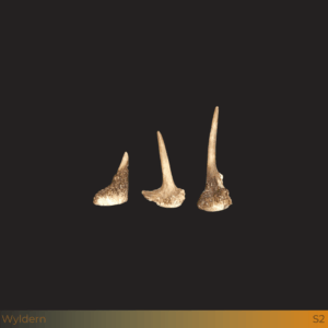 Kleine damhert spitser stangen 3st