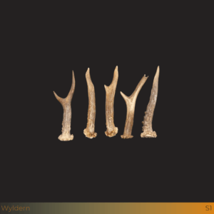 Kleine reestangen 5st